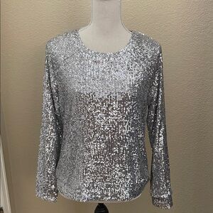 Cable & Gauge Shimmering Silver Sequin Long Sleeve Top